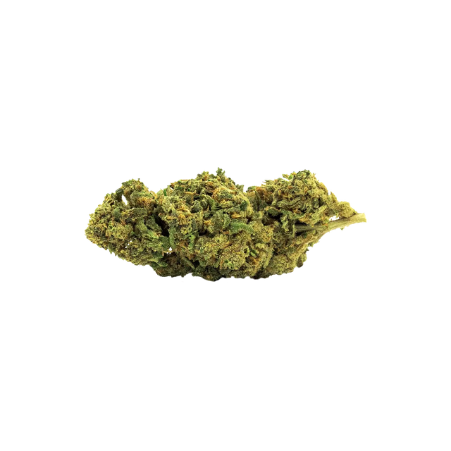 PASTRAWEED ⚠️